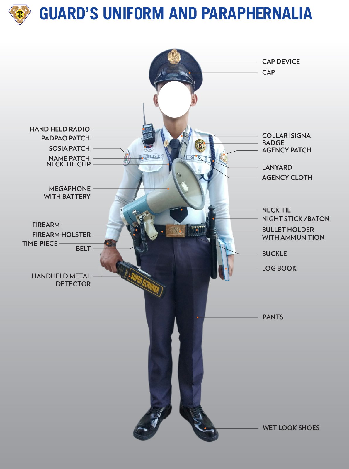 GDS guideline page 3